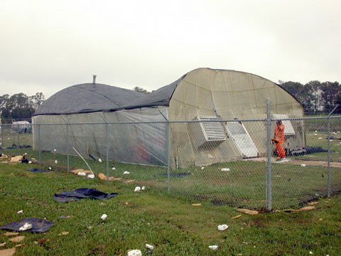 greenhouse